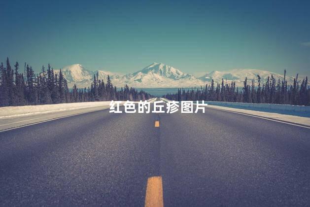 红色的丘疹图片