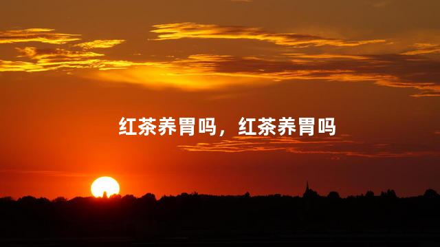红茶养胃吗，红茶养胃吗