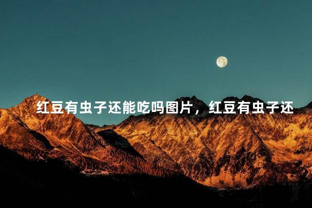红豆有虫子还能吃吗图片，红豆有虫子还能吃吗大全