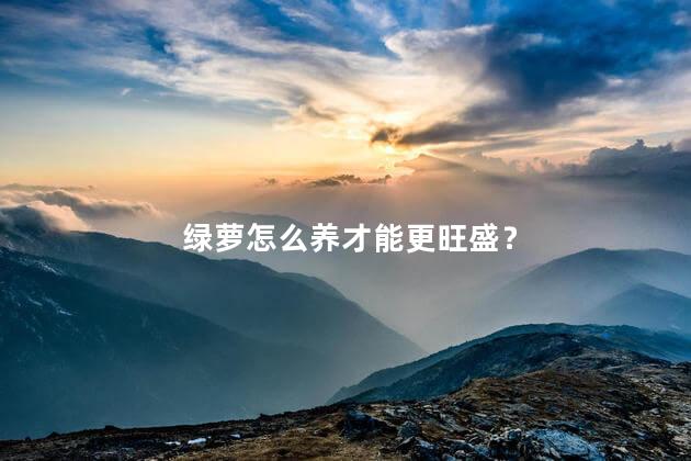 绿萝怎么养才能更旺盛？