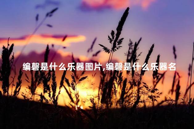 编磬是什么乐器图片,编磬是什么乐器名称 编磬是什么乐器图片,编磬是什么乐器名称