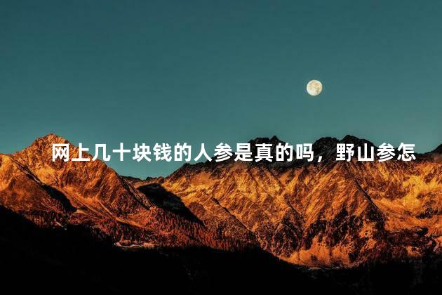 网上几十块钱的人参是真的吗，野山参怎么辨别真假