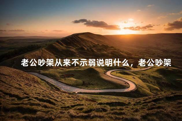 老公吵架从来不示弱说明什么，老公吵架从来不示弱说明什么原因