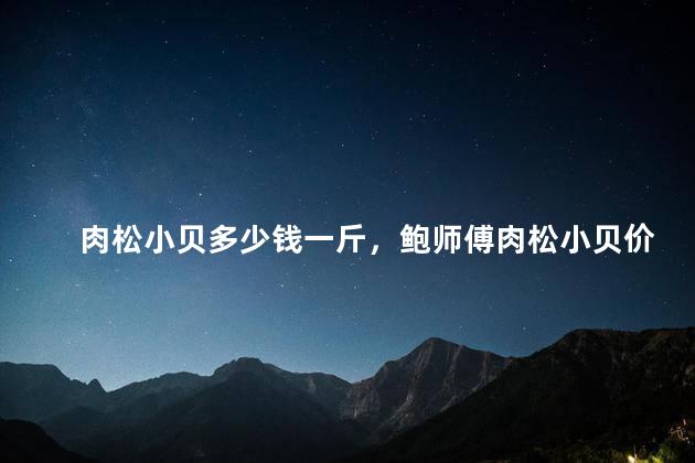 肉松小贝多少钱一斤，鲍师傅肉松小贝价格
