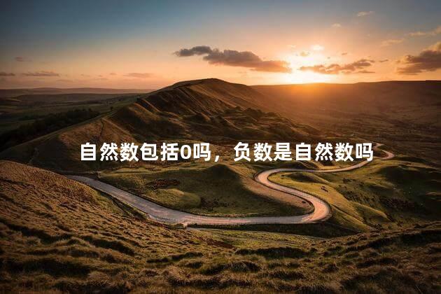 自然数包括0吗，负数是自然数吗
