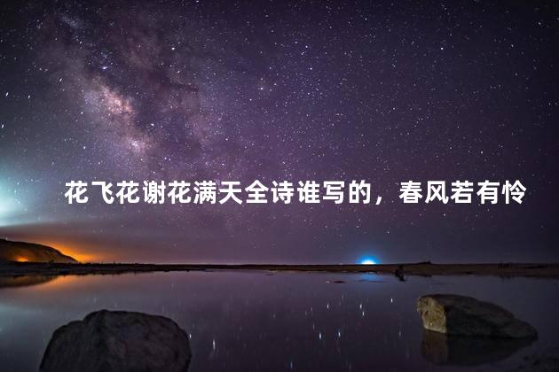 花飞花谢花满天全诗谁写的，春风若有怜花意可否许我再少年
