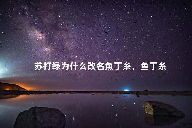 苏打绿为什么改名魚丁糸，鱼丁糸