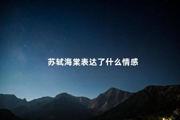 苏轼海棠表达了什么情感