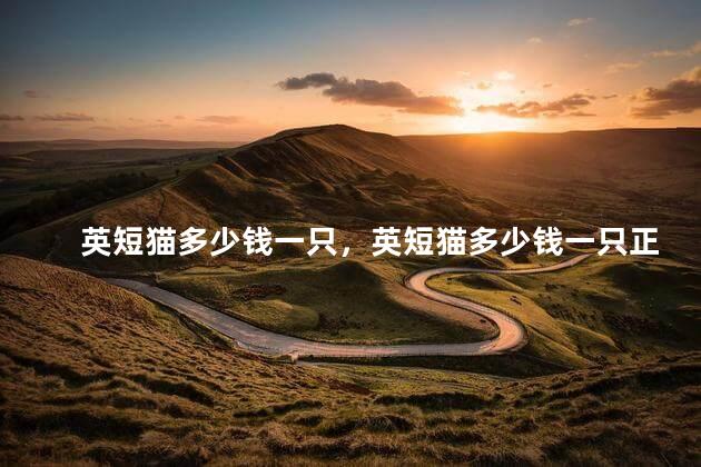 英短猫多少钱一只，英短猫多少钱一只正常价