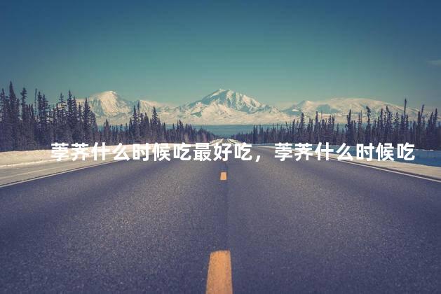 荸荠什么时候吃最好吃，荸荠什么时候吃最好吃了