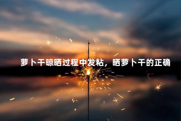 萝卜干晾晒过程中发粘，晒萝卜干的正确方法
