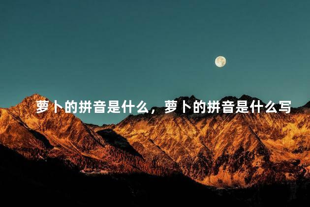 萝卜的拼音是什么，萝卜的拼音是什么写的