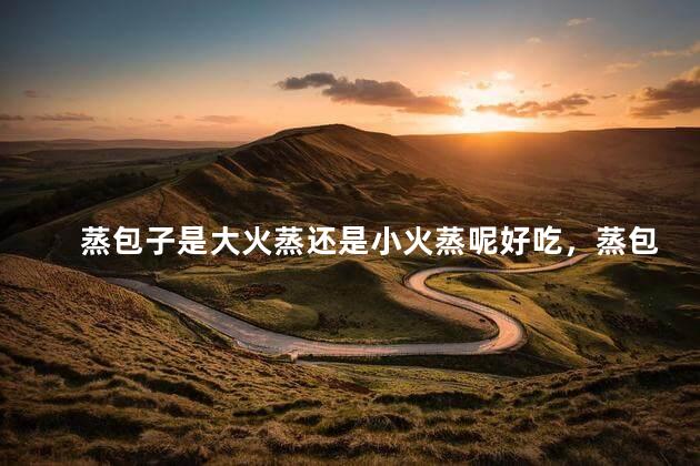 蒸包子是大火蒸还是小火蒸呢好吃，蒸包子是大火蒸还是小火蒸呢好吃