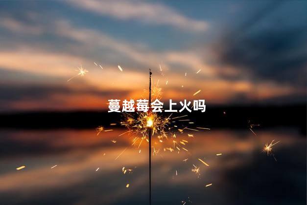 蔓越莓会上火吗