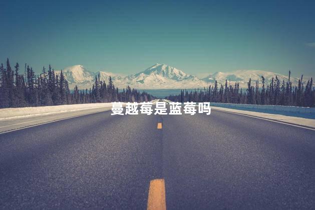 蔓越莓是蓝莓吗