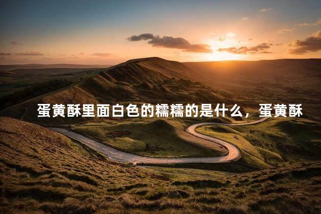 蛋黄酥里面白色的糯糯的是什么，蛋黄酥里面白色的糯糯的是什么东西