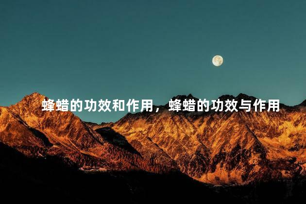 蜂蜡的功效和作用，蜂蜡的功效与作用