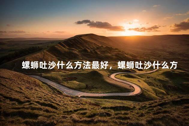 螺蛳吐沙什么方法最好，螺蛳吐沙什么方法最好养