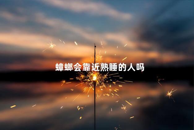 蟑螂会靠近熟睡的人吗