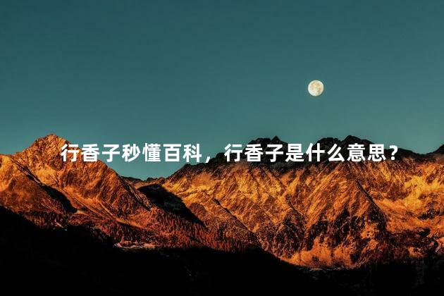 行香子秒懂百科，行香子是什么意思？