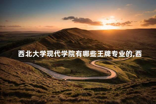 西北大学现代学院有哪些王牌专业的,西北大学现代学院的王牌专业是什么 西北大学现代学院有哪些王牌专业的,西北大学现代学院的王牌专业是什么