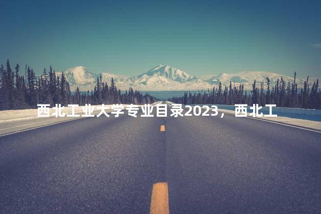 西北工业大学专业目录2023，西北工业大学专业目录23