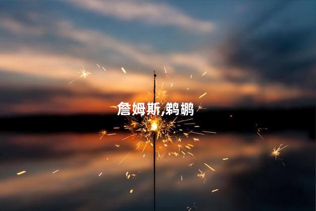 詹姆斯,鹈鹕