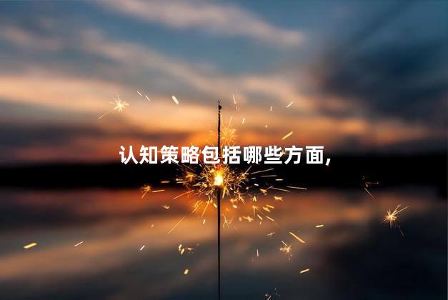 认知策略包括哪些方面, 认知策略包括哪些方面,