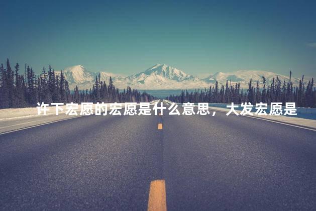 许下宏愿的宏愿是什么意思，大发宏愿是什么意思