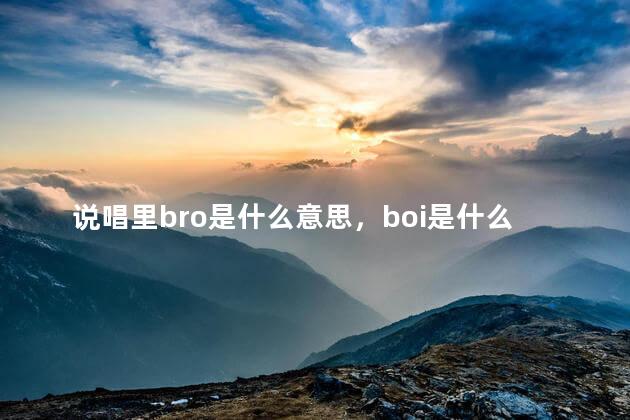 说唱里bro是什么意思，boi是什么意思说唱