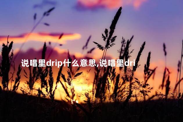 说唱里drip什么意思,说唱里drip 说唱里drip什么意思,说唱里drip