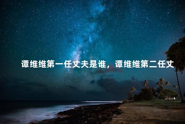 谭维维第一任丈夫是谁，谭维维第二任丈夫是谁