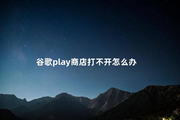 谷歌play商店打不开怎么办