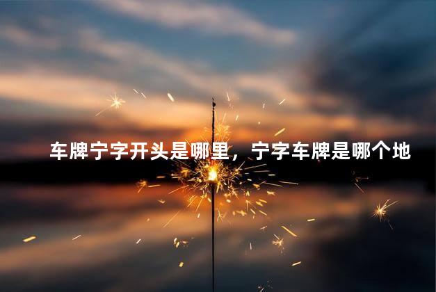 车牌宁字开头是哪里，宁字车牌是哪个地方的