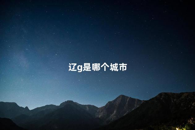 辽g是哪个城市