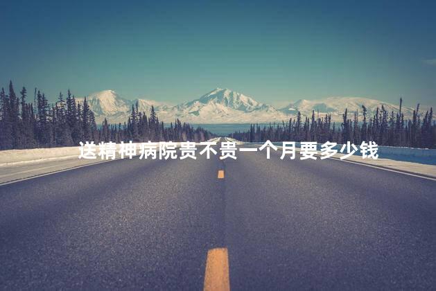送精神病院贵不贵一个月要多少钱