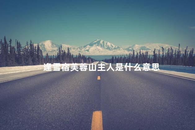 逢雪宿芙蓉山主人是什么意思