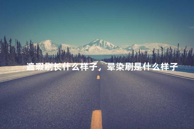 遮瑕刷长什么样子，晕染刷是什么样子