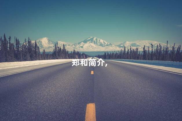 郑和简介, 郑和简介,