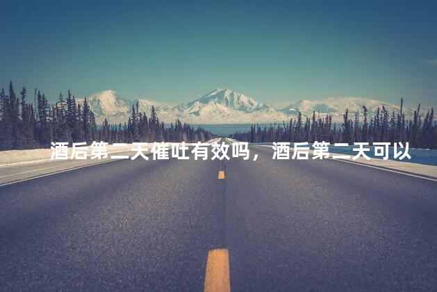 酒后第二天催吐有效吗，酒后第二天可以催吐吗