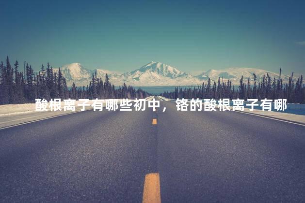 酸根离子有哪些初中，铬的酸根离子有哪些