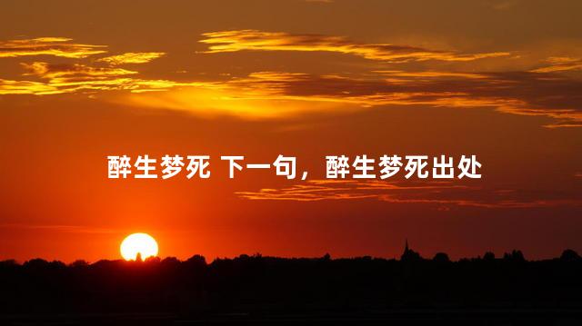 醉生梦死 下一句，醉生梦死出处