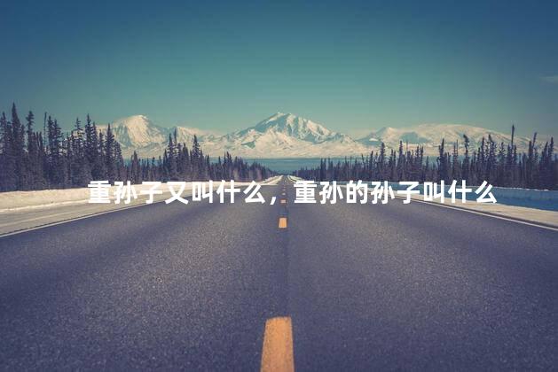重孙子又叫什么，重孙的孙子叫什么