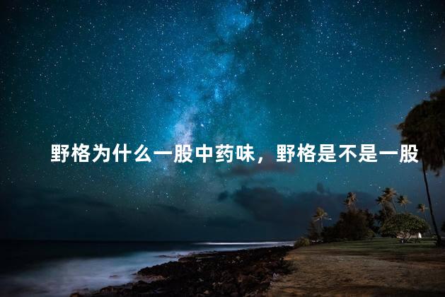 野格为什么一股中药味，野格是不是一股中药味