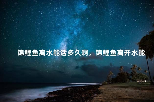 锦鲤鱼离水能活多久啊，锦鲤鱼离开水能活多久