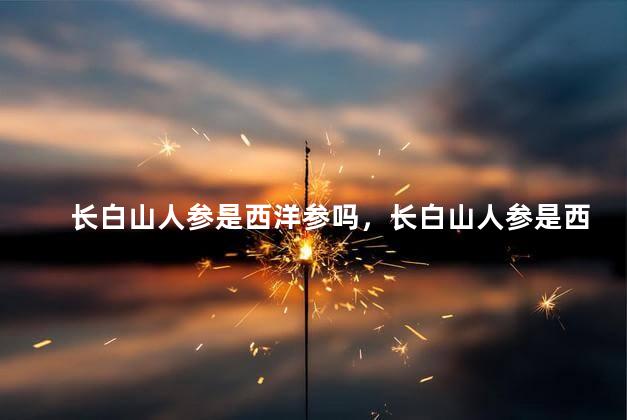 长白山人参是西洋参吗，长白山人参是西洋参吗