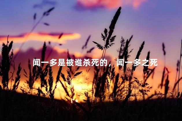 闻一多是被谁杀死的，闻一多之死