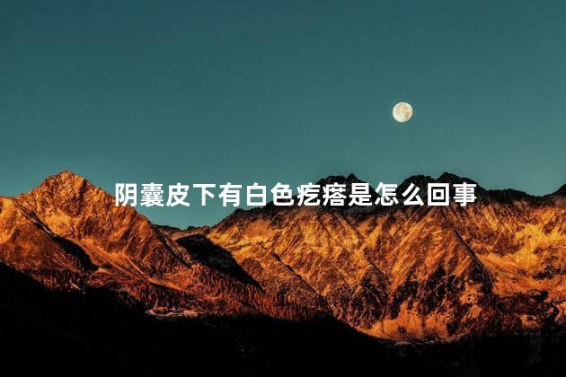 阴囊皮下有白色疙瘩是怎么回事