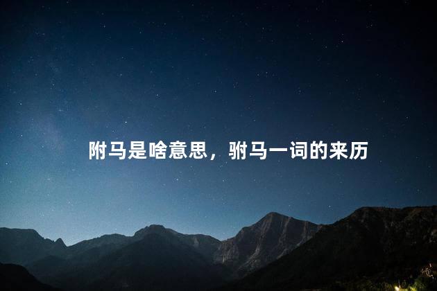 附马是啥意思，驸马一词的来历
