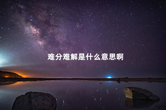 难分难解是什么意思啊